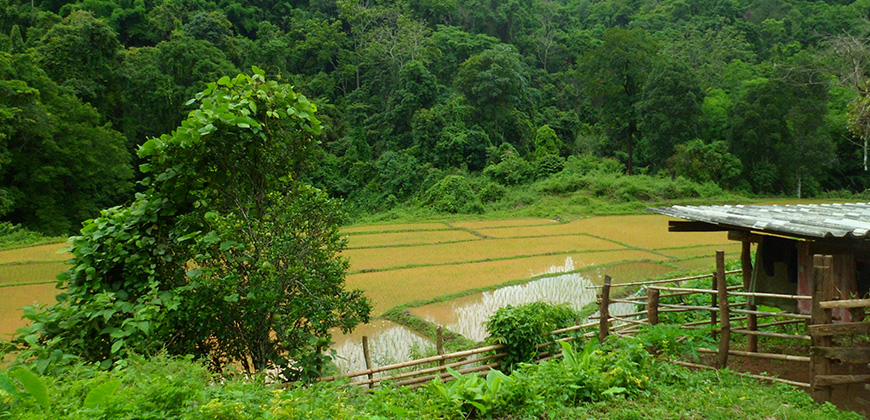 4 DAYS 3 NIGHTS TREK MAE TAENG AREA